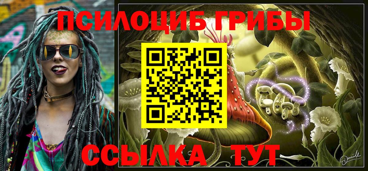 Псилоцибиновые грибы прущие грибы  купить наркотики цена  Вход с VPN  Санкт-Петербург  Псилоцибиновые грибы мухоморы 