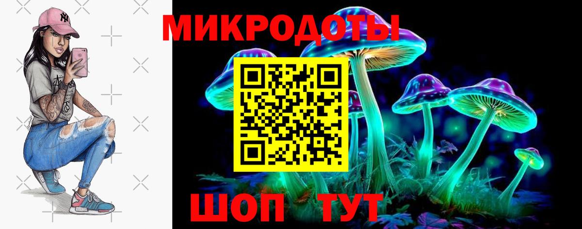 Псилоцибиновые грибы мухоморы Санкт-Петербург